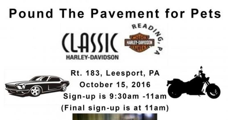 Pound The Pavement for Pets