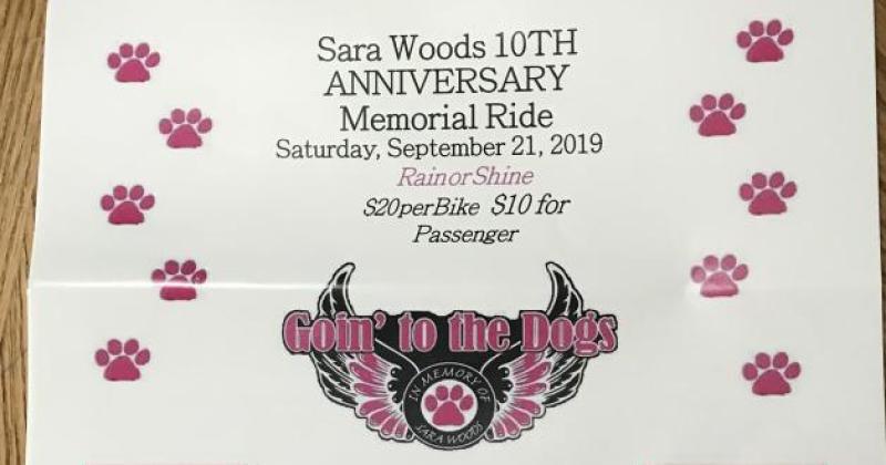 Going to the Dogs